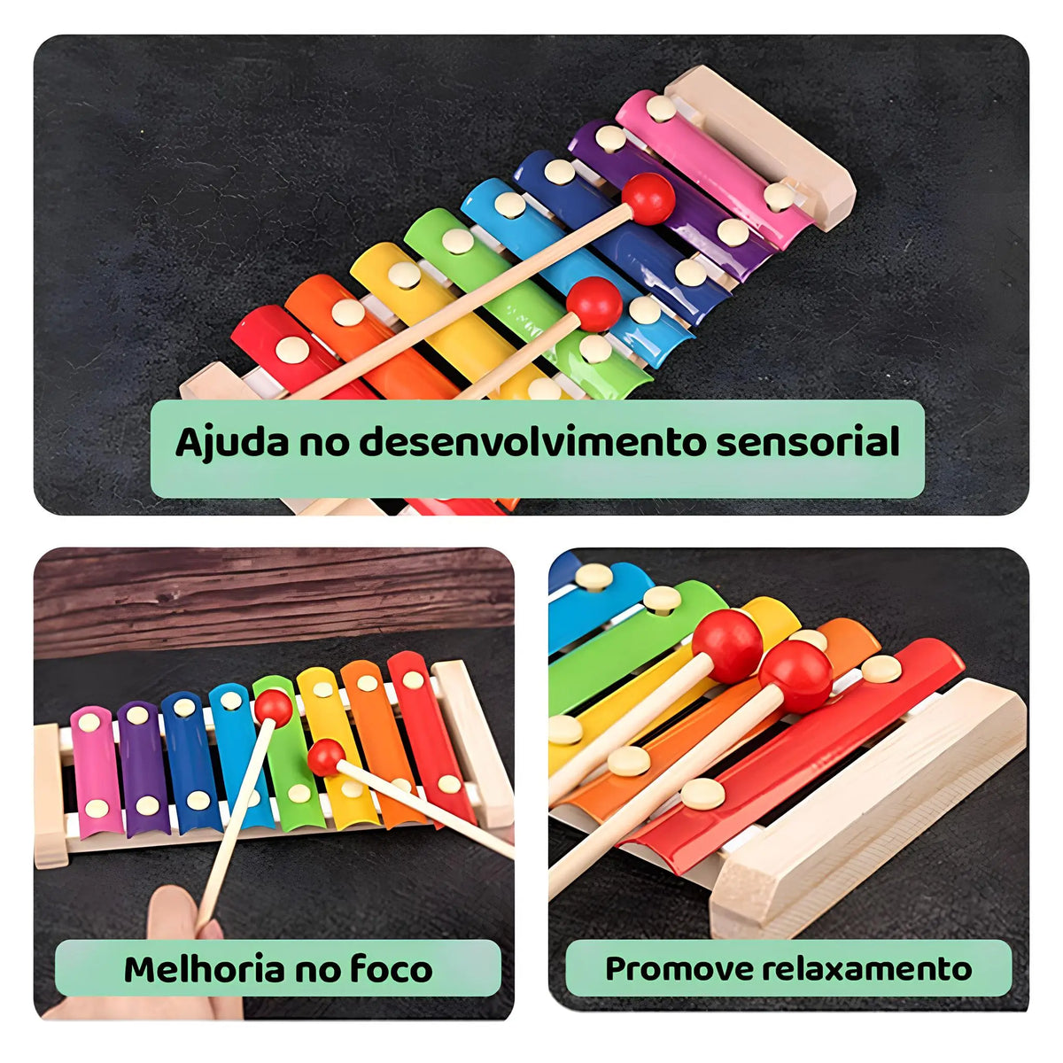 XiloColor – O Xilofone de Madeira que Encanta e Ensina!