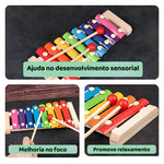 XiloColor – O Xilofone de Madeira que Encanta e Ensina!