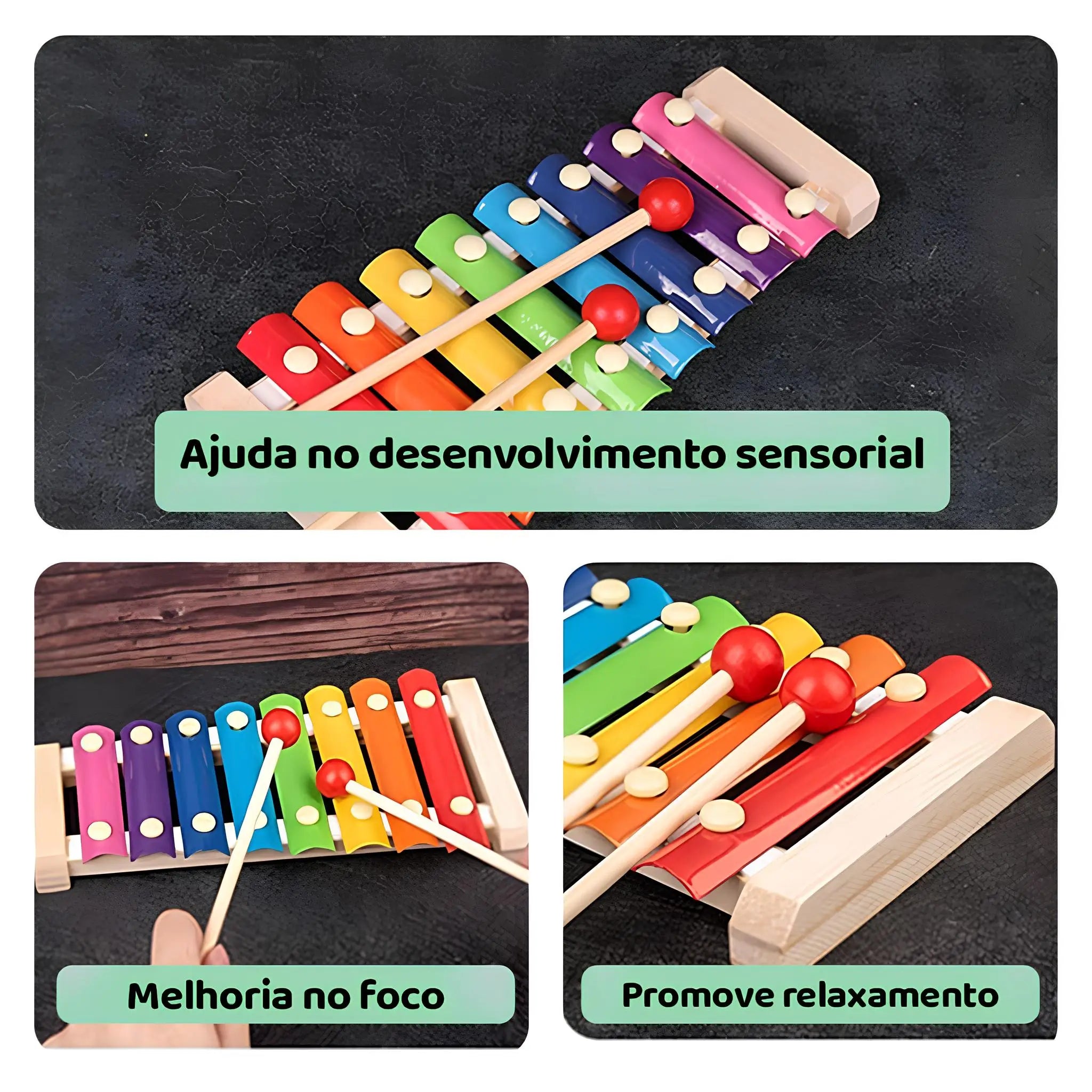 XiloColor – O Xilofone de Madeira que Encanta e Ensina!